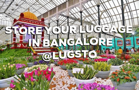 Luggage Storage Bangalore